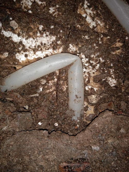 通渭堵点精准查找